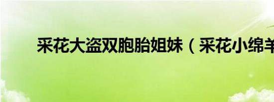 采花大盗双胞胎姐妹（采花小绵羊）