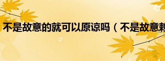 不是故意的就可以原谅吗（不是故意赖上你）