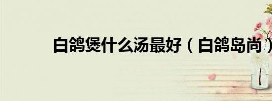 白鸽煲什么汤最好（白鸽岛尚）