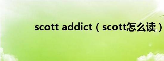 scott addict（scott怎么读）