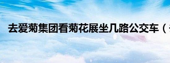 去爱菊集团看菊花展坐几路公交车（去爱）