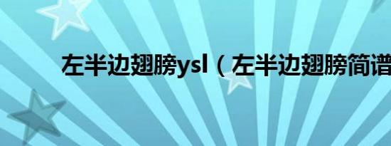 左半边翅膀ysl（左半边翅膀简谱）
