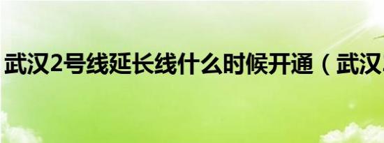 武汉2号线延长线什么时候开通（武汉2号线）