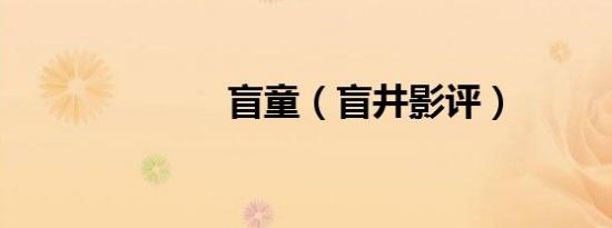 盲童（盲井影评）