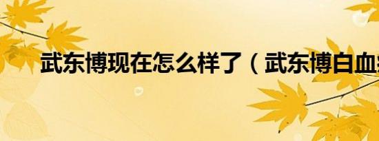 武东博现在怎么样了（武东博白血病）