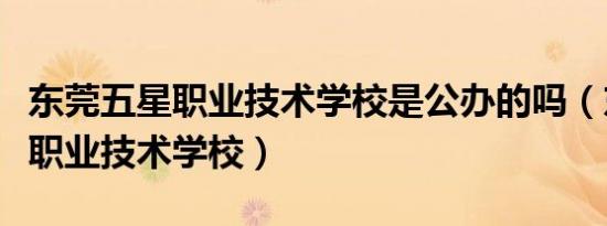 东莞五星职业技术学校是公办的吗（东莞五星职业技术学校）