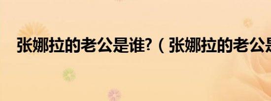 张娜拉的老公是谁?（张娜拉的老公是谁）
