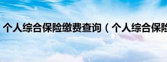 个人综合保险缴费查询（个人综合保险查询）