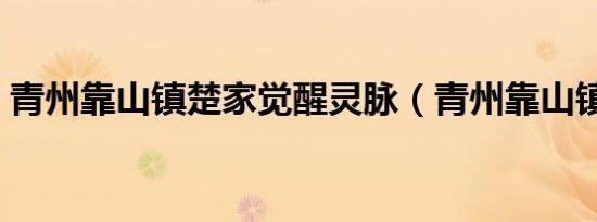 青州靠山镇楚家觉醒灵脉（青州靠山镇楚家）