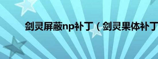 剑灵屏蔽np补丁（剑灵果体补丁）