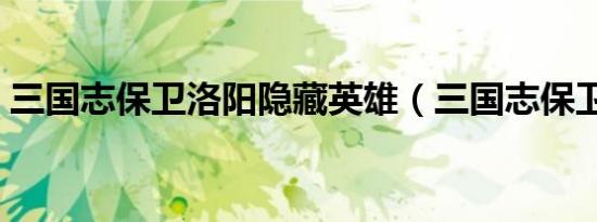 三国志保卫洛阳隐藏英雄（三国志保卫洛阳）