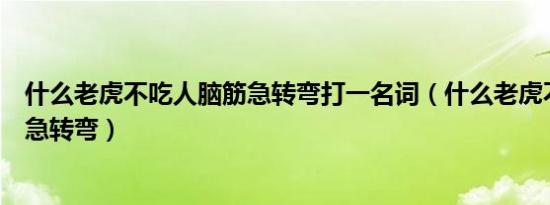 什么老虎不吃人脑筋急转弯打一名词（什么老虎不吃人脑筋急转弯）