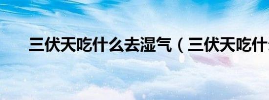 三伏天吃什么去湿气（三伏天吃什么）