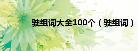 驶组词大全100个（驶组词）