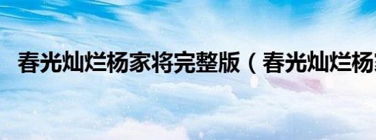 春光灿烂杨家将完整版（春光灿烂杨家将）