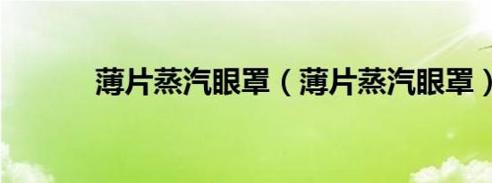 薄片蒸汽眼罩（薄片蒸汽眼罩）