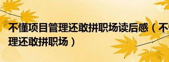 不懂项目管理还敢拼职场读后感（不懂项目管理还敢拼职场）