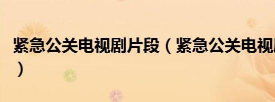 紧急公关电视剧片段（紧急公关电视剧演员表）