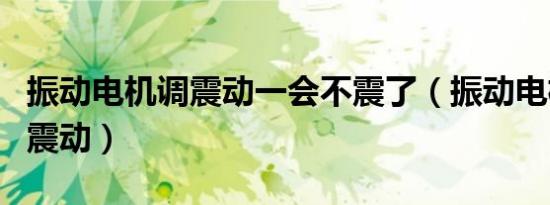 振动电机调震动一会不震了（振动电机怎么调震动）