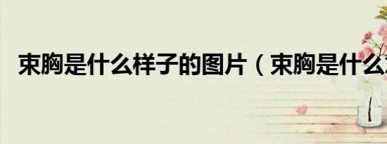 束胸是什么样子的图片（束胸是什么意思）