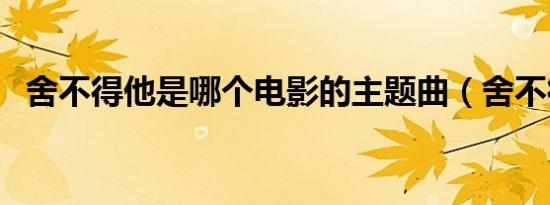 舍不得他是哪个电影的主题曲（舍不得他）