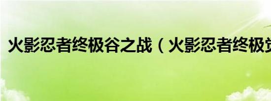 火影忍者终极谷之战（火影忍者终极觉醒2）