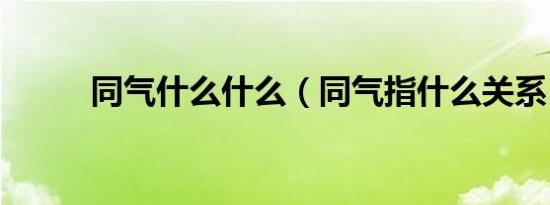 同气什么什么（同气指什么关系）