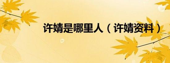 许婧是哪里人（许婧资料）