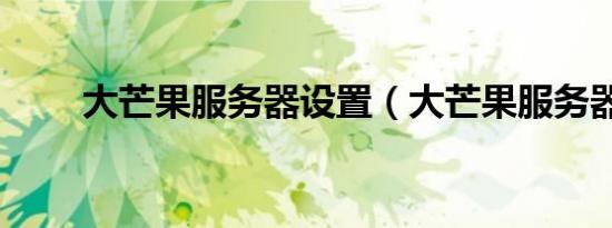 大芒果服务器设置（大芒果服务器）