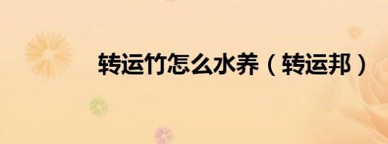 转运竹怎么水养（转运邦）