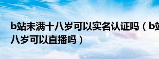 b站未满十八岁可以实名认证吗（b站未满十八岁可以直播吗）