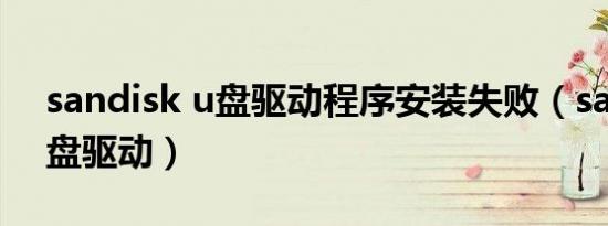 sandisk u盘驱动程序安装失败（sandisku盘驱动）