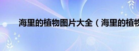海里的植物图片大全（海里的植物）