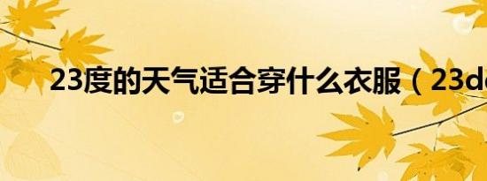 23度的天气适合穿什么衣服（23ddt）