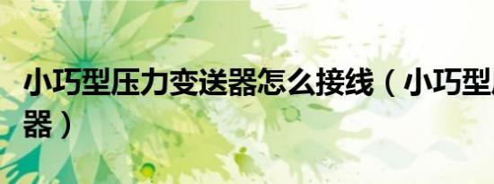 小巧型压力变送器怎么接线（小巧型压力变送器）