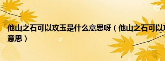 他山之石可以攻玉是什么意思呀（他山之石可以攻玉是什么意思）