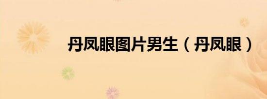 丹凤眼图片男生（丹凤眼）