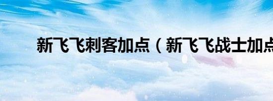 新飞飞刺客加点（新飞飞战士加点）
