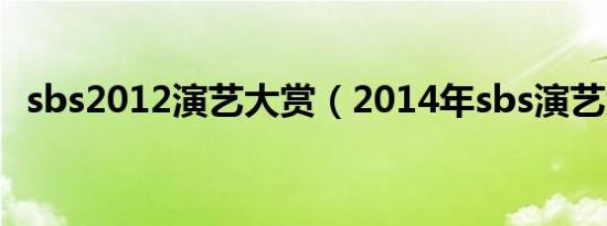 sbs2012演艺大赏（2014年sbs演艺大赏）