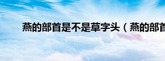 燕的部首是不是草字头（燕的部首）