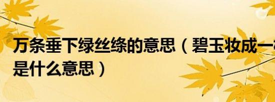 万条垂下绿丝绦的意思（碧玉妆成一树高的妆是什么意思）