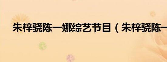 朱梓骁陈一娜综艺节目（朱梓骁陈一娜）