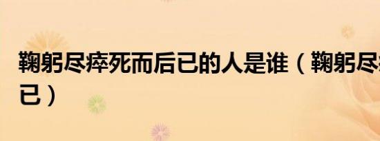 鞠躬尽瘁死而后已的人是谁（鞠躬尽瘁死而后已）