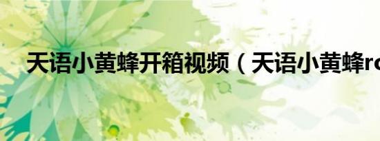 天语小黄蜂开箱视频（天语小黄蜂root）