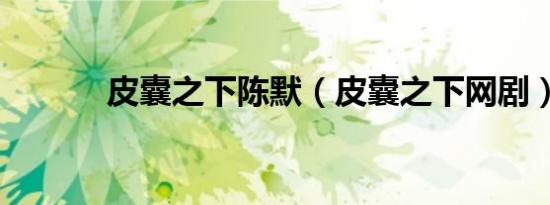 皮囊之下陈默（皮囊之下网剧）
