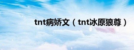 tnt病娇文（tnt冰原狼尊）