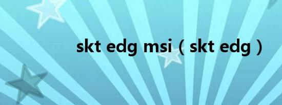 skt edg msi（skt edg）