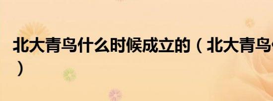 北大青鸟什么时候成立的（北大青鸟什么学校）