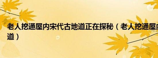 老人挖通屋内宋代古地道正在探秘（老人挖通屋内宋代古地道）