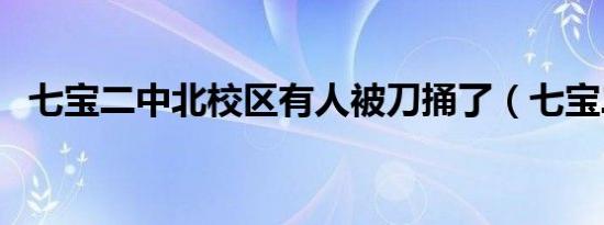 七宝二中北校区有人被刀捅了（七宝二中）